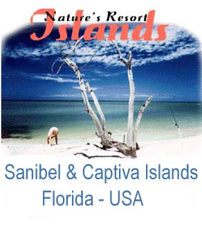 Sanibel Island Tide Chart